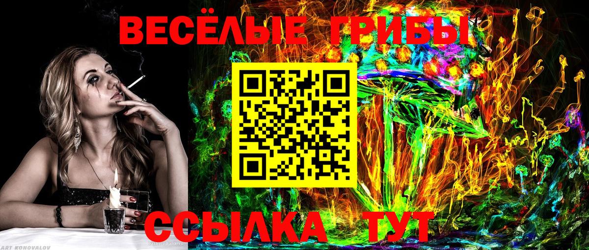 Галлюциногенные грибы Psilocybine cubensis  Вход с VPN  Галлюциногенные грибы ЛСД  цена наркотик  Санкт-Петербург 